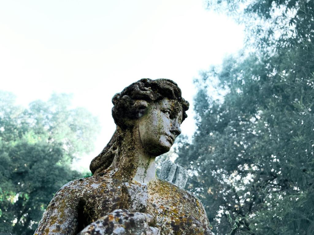 The Decay of&nbsp;Silence