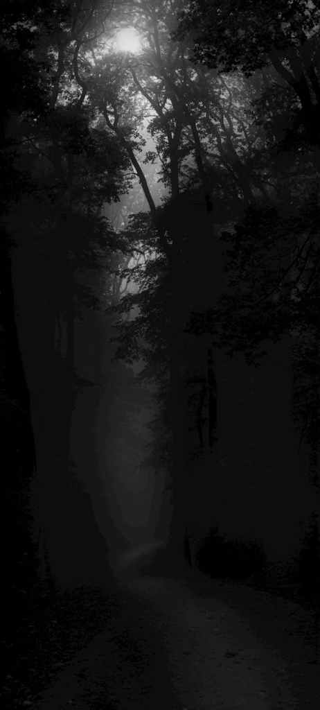 The Black Beast