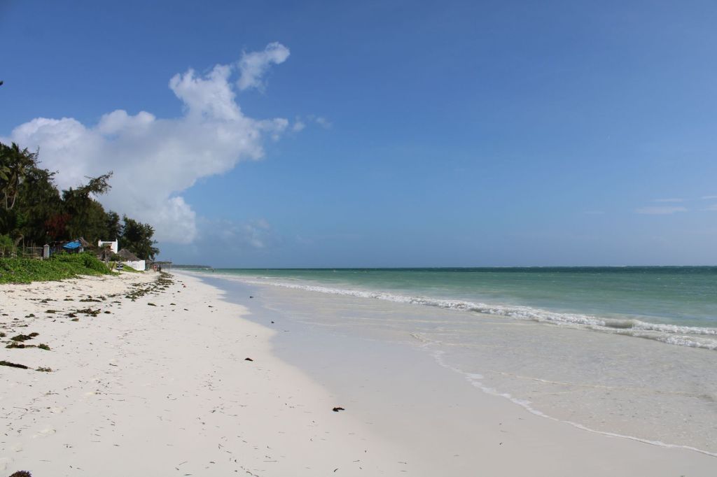 White Shores