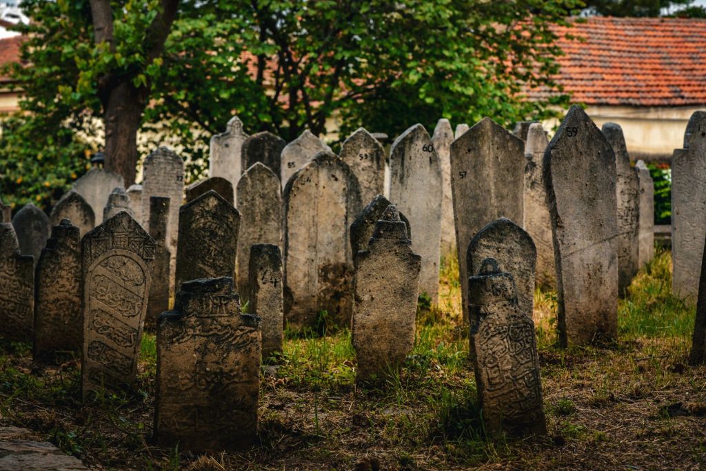 Dead Dreams